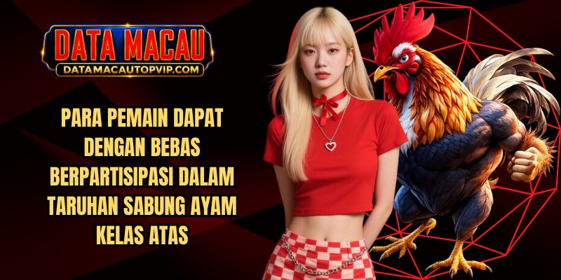 Para pemain dapat dengan bebas berpartisipasi dalam taruhan sabung ayam kelas atas